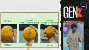 إطالة عمر الفاكهة من 10 إلى 20 يومًا: طريقة فريق «قطفة» الجديدة تحافظ على نضارة الفاكهة بأبسط تكلفة